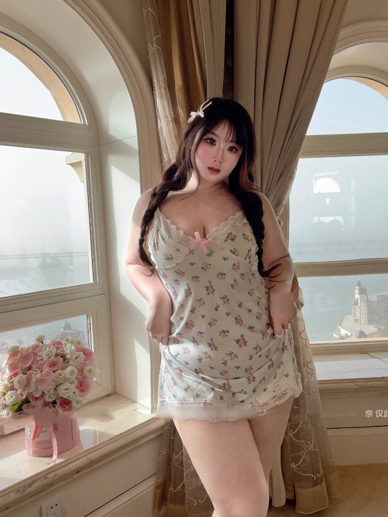 Women's Sexy Plus Size Lingeri - Babydoll Chemise Night recensie en prijs