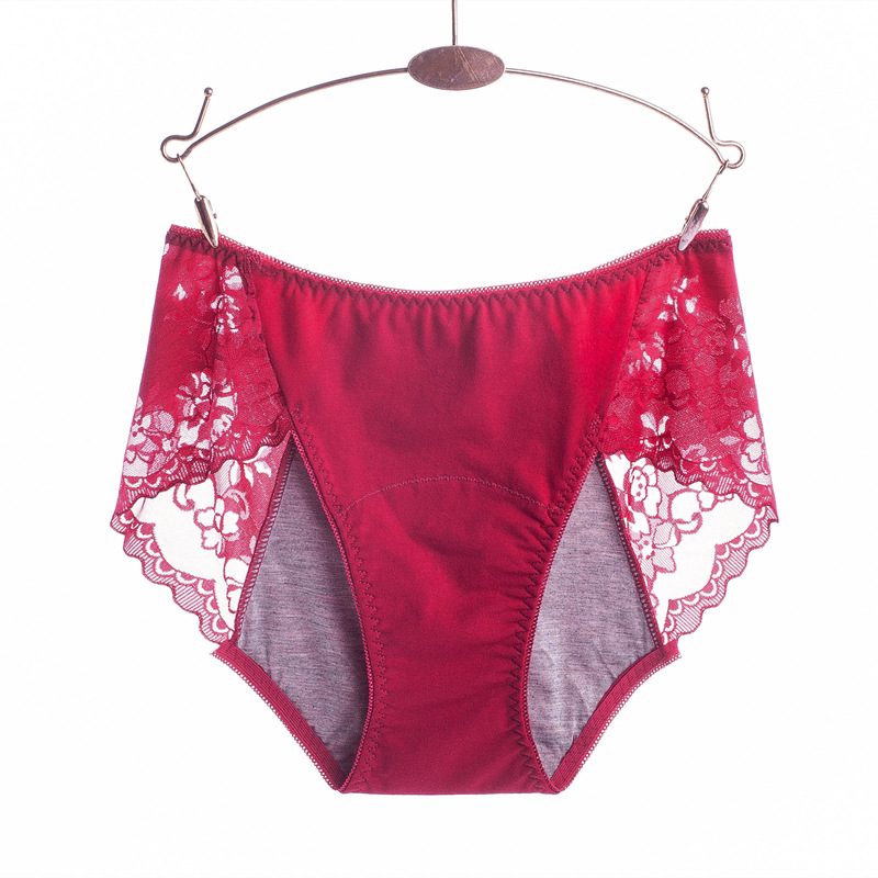 3XL Large Size Sexy Lace Absor - Period Panty Absorbent recensie en prijs