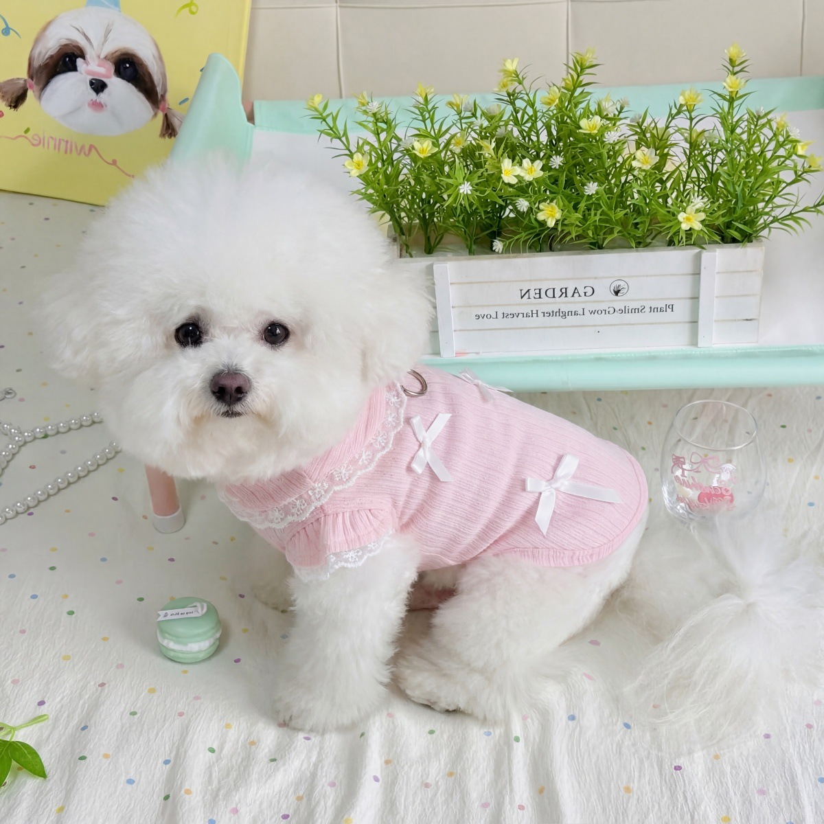Pet Spring Lace Bow Vest Can P - Lace Teddy Lingerie recensie en prijs