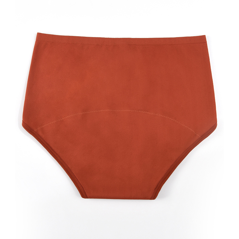 Women’s Seamless Period Pantie - Period Panty Absorbent recensie en prijs
