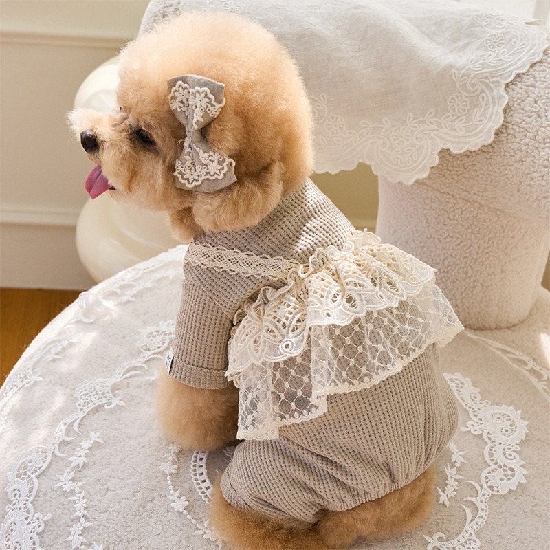 Pet Spring Jumpsuit Cute Lace  - Lace Teddy Lingerie recensie en prijs