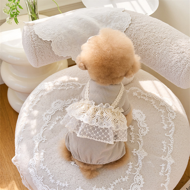 Pet Spring Jumpsuit Cute Lace  - Lace Teddy Lingerie recensie en prijs