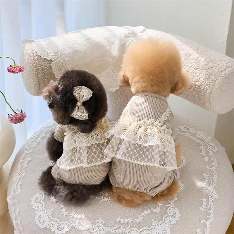Pet Spring Jumpsuit Cute Lace  - Lace Teddy Lingerie recensie en prijs