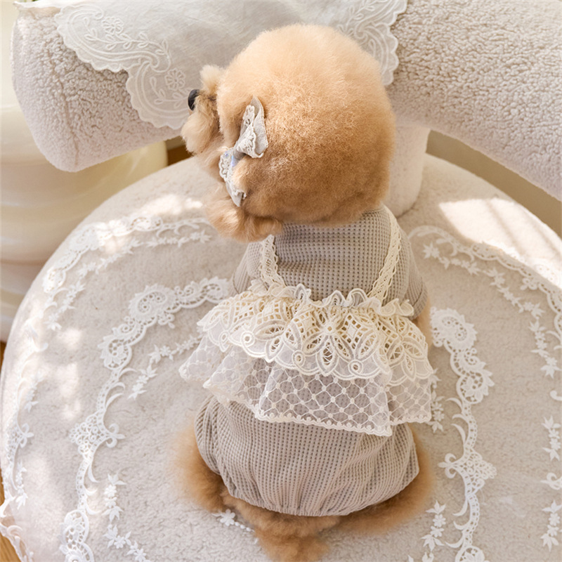 Pet Spring Jumpsuit Cute Lace  - Lace Teddy Lingerie recensie en prijs