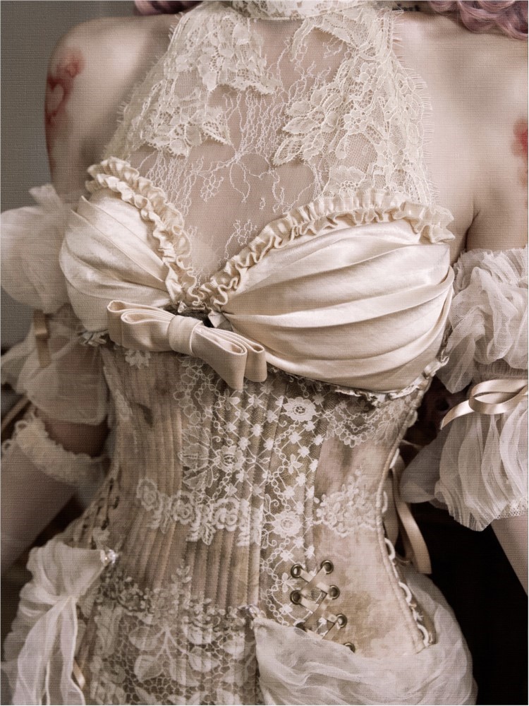Elegant fishbone corset figure - Corset Waist Cinch recensie en prijs